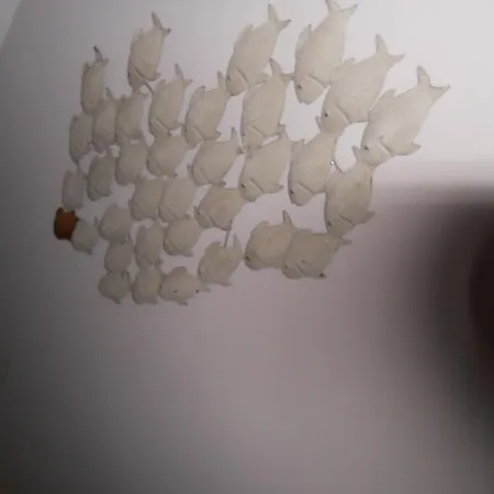 펜션 Weetstich 아르츠섬